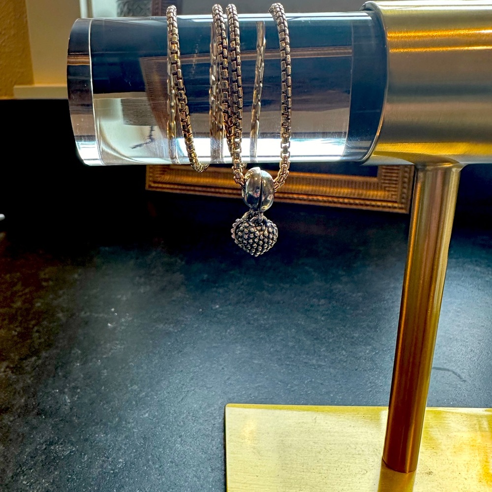 Authentic Pandora retired charm